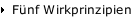 Fünf Wirkprinzipien