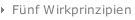 Fünf Wirkprinzipien